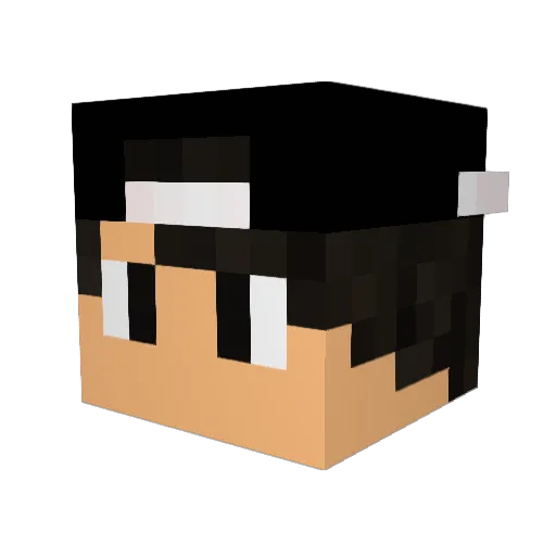 Chicken_429 Minecraft avatar head, 3D render