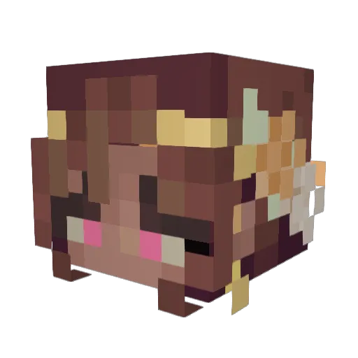 Chicken_9993 Minecraft avatar head, 3D render