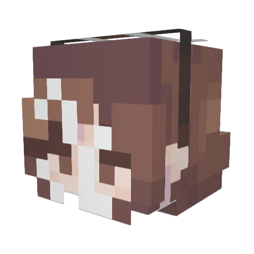 Chicken_Champ Minecraft avatar head, 3D render