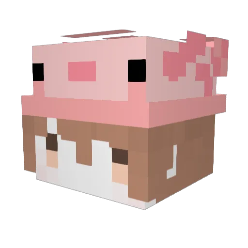 Chicken_King_TW Minecraft avatar head, 3D render