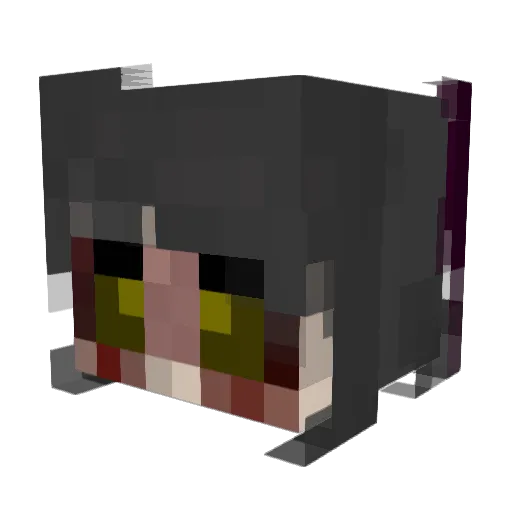 Chicken_Nuggers_ Minecraft avatar head, 3D render