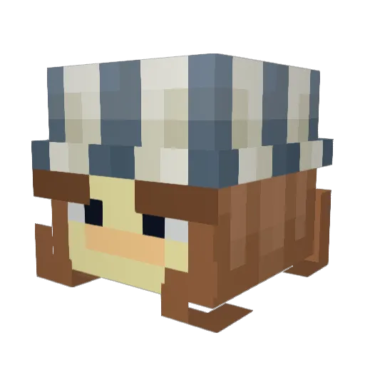 Chicken_Nugget88 Minecraft avatar head, 3D render