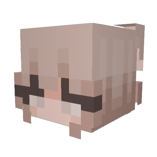 Chicken_Panini Minecraft avatar head, 3D render