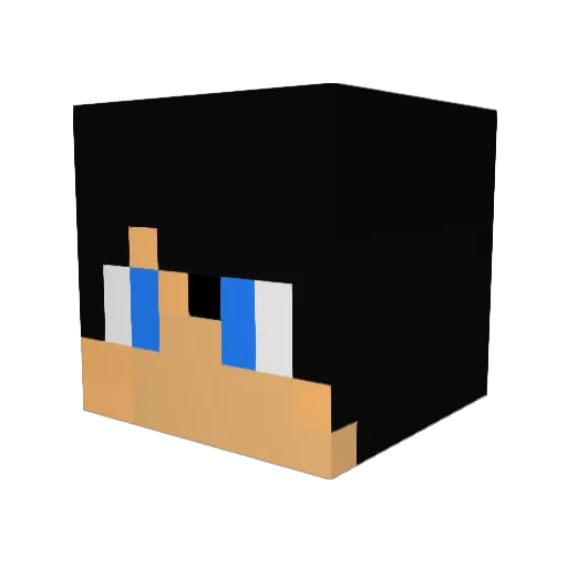 Chicken_PvpsSA Minecraft avatar head, 3D render