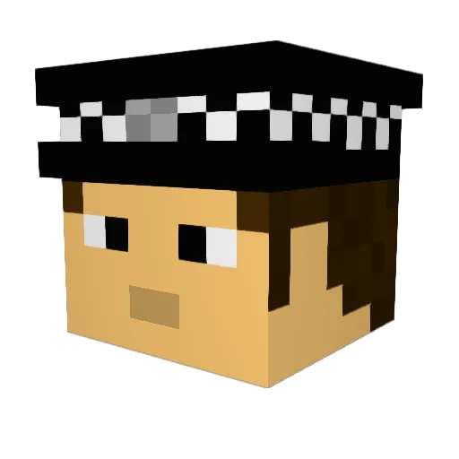 Chicken_ninja1 Minecraft avatar head, 3D render