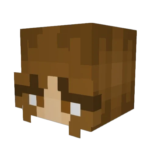 Chicken_nuggetz Minecraft avatar head, 3D render