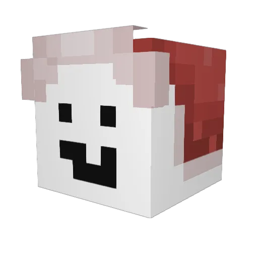 Chicken_taga Minecraft avatar head, 3D render