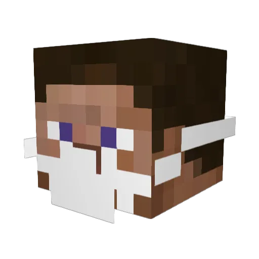 Chickenagges Minecraft avatar head, 3D render