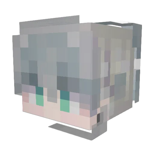 Chickenboomer24 Minecraft avatar head, 3D render