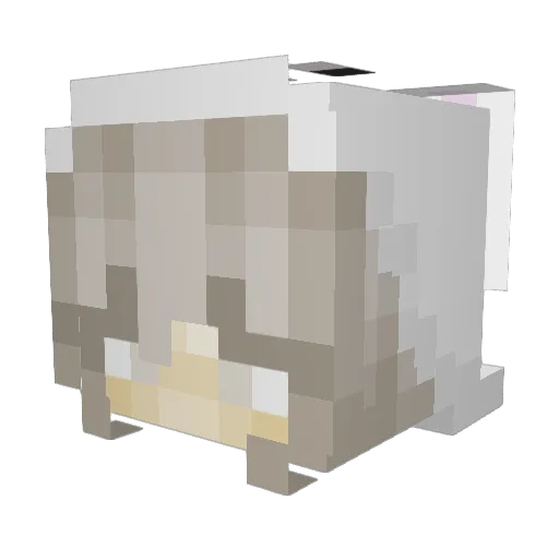 Chickenoodleis Minecraft avatar head, 3D render