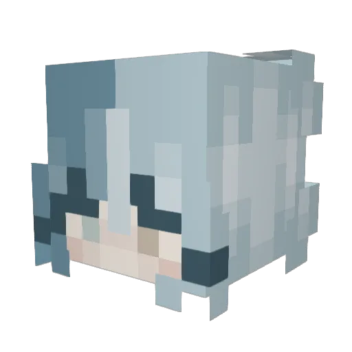 Chickenwhisper10 Minecraft avatar head, 3D render