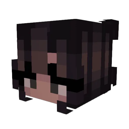 Chickenwingg13 Minecraft avatar head, 3D render