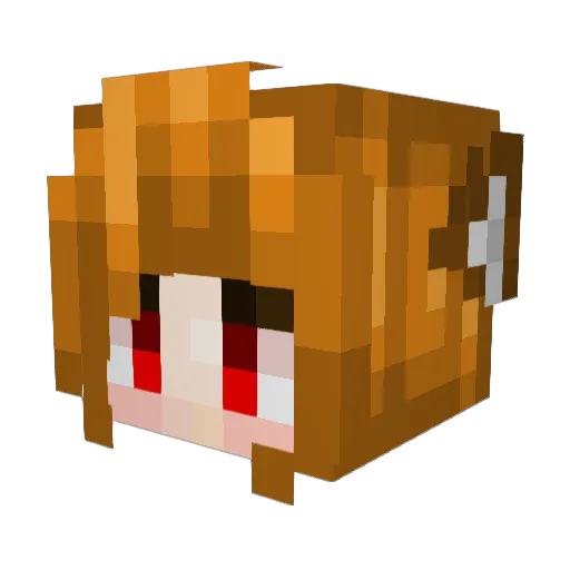 Chickn_Chaser Minecraft avatar head, 3D render