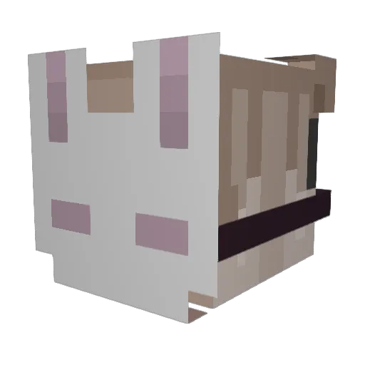 ChickoftheDark Minecraft avatar head, 3D render