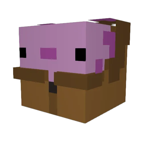 Chickon_20 Minecraft avatar head, 3D render