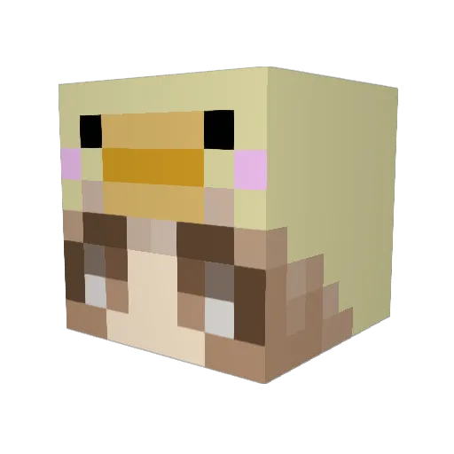 ChickyFire Minecraft avatar head, 3D render