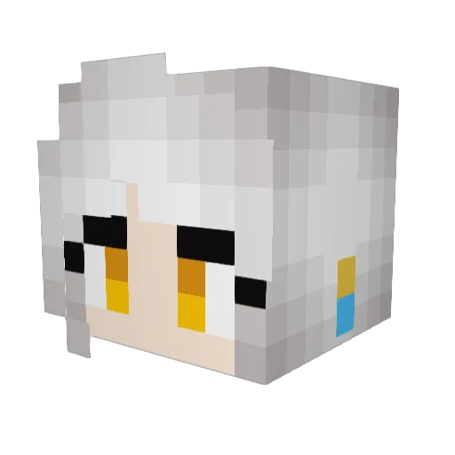 ChickyNuggies Minecraft avatar head, 3D render
