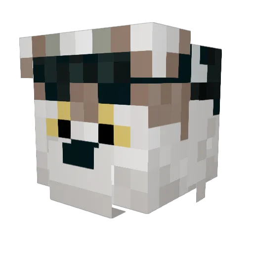 Chicopayeye Minecraft avatar head, 3D render