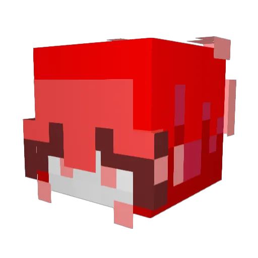 Chicoxc Minecraft avatar head, 3D render