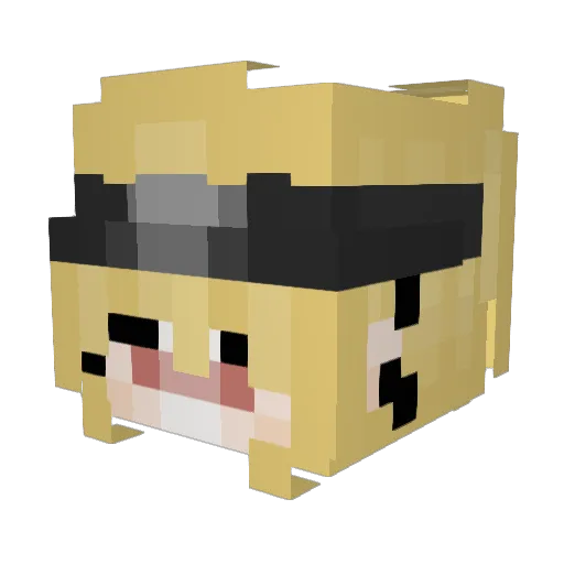 Chiddakki Minecraft avatar head, 3D render