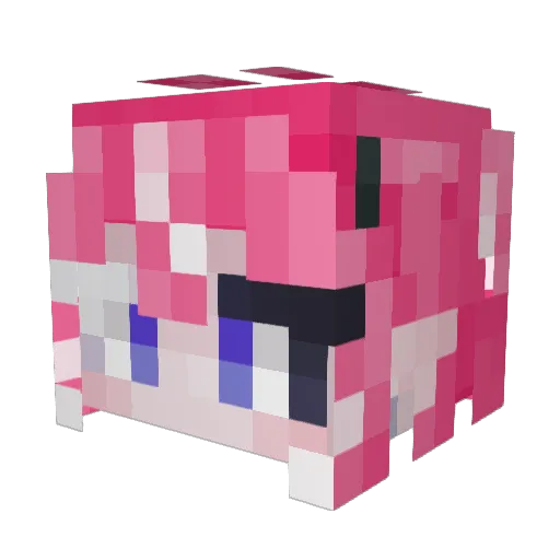ChiefNinja342 Minecraft avatar head, 3D render