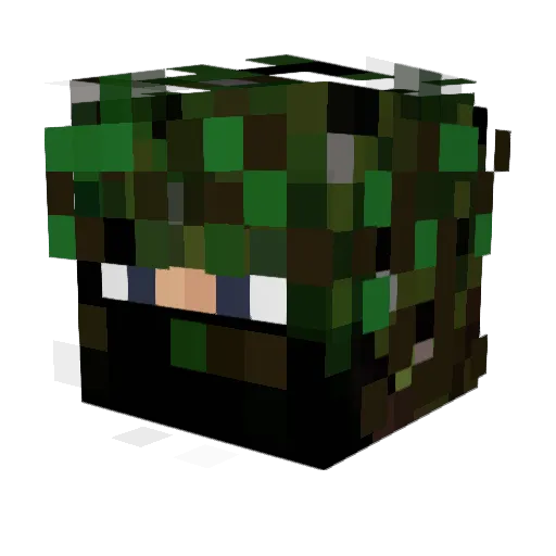 Chief_Beef00 Minecraft avatar head, 3D render