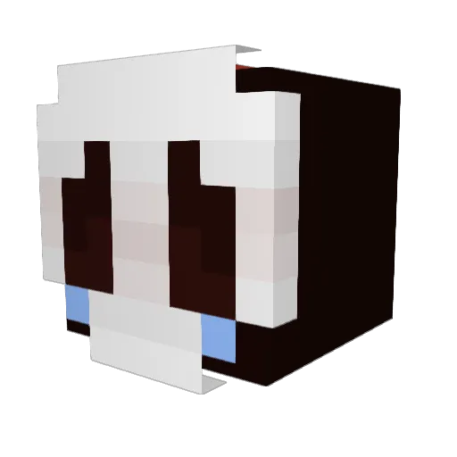 Chief_cat Minecraft avatar head, 3D render