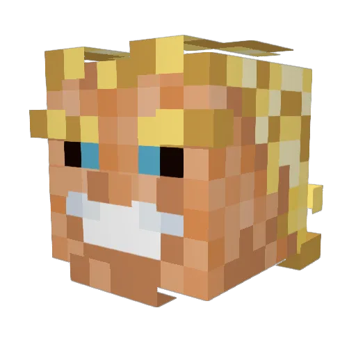 Chiefmore Minecraft avatar head, 3D render