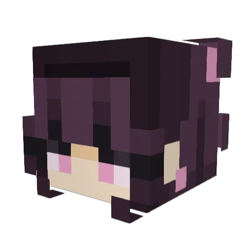 Chieko5 Minecraft avatar head, 3D render