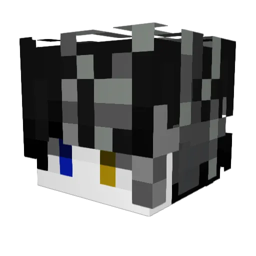 Chien100263 Minecraft avatar head, 3D render