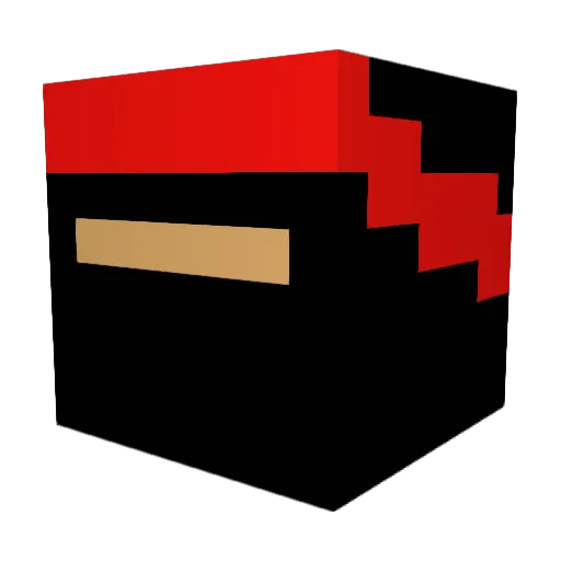 Chiggen_Wings Minecraft avatar head, 3D render