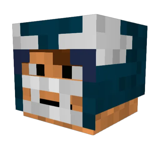ChiickenWiings Minecraft avatar head, 3D render