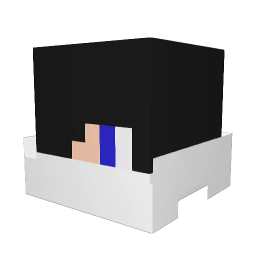 Chiilote Minecraft avatar head, 3D render