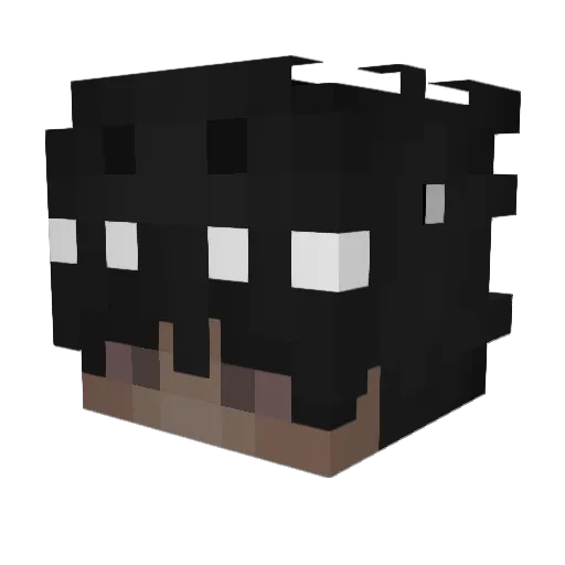 Chikala Minecraft avatar head, 3D render