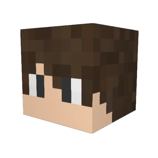 Chikinho24 Minecraft avatar head, 3D render