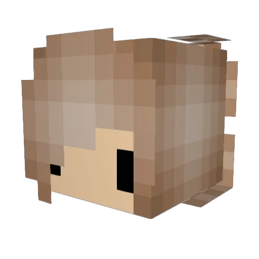 Chikyu808 Minecraft avatar head, 3D render