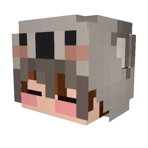 Child2724 Minecraft avatar head, 3D render