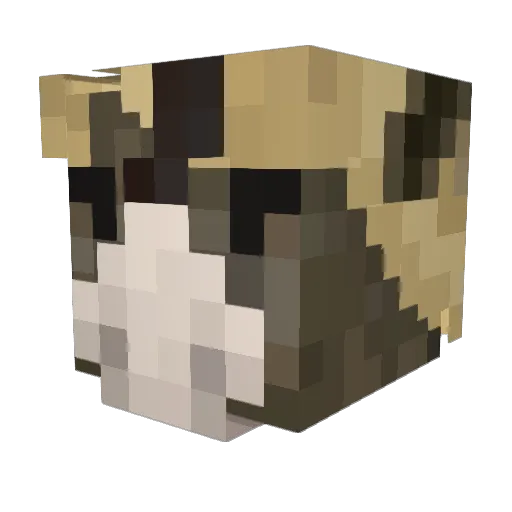ChildSoliderUSA Minecraft avatar head, 3D render