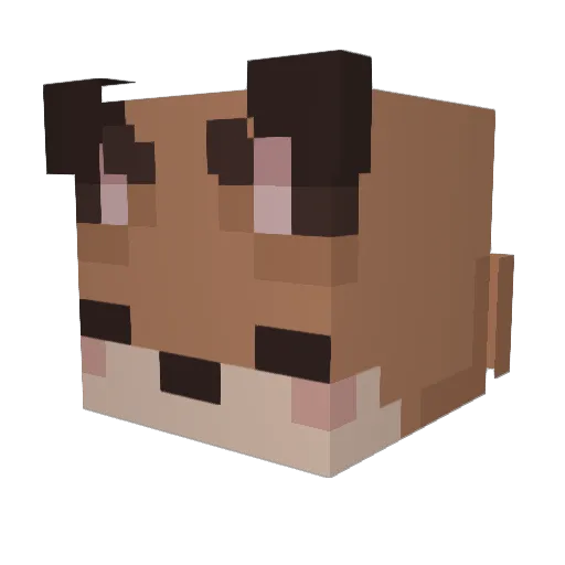Child__Support Minecraft avatar head, 3D render