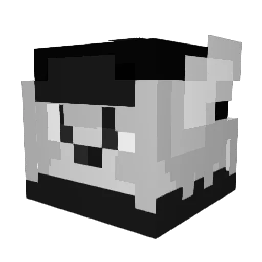 Chile11111 Minecraft avatar head, 3D render