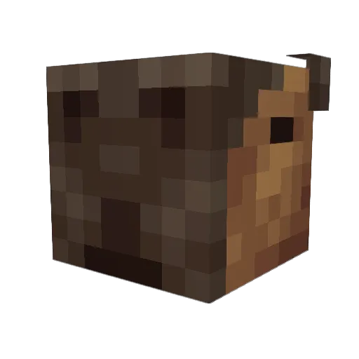 Chileon Minecraft avatar head, 3D render