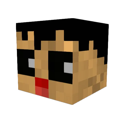 Chilfox13 Minecraft avatar head, 3D render