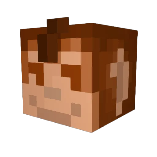 ChiliWill Minecraft avatar head, 3D render