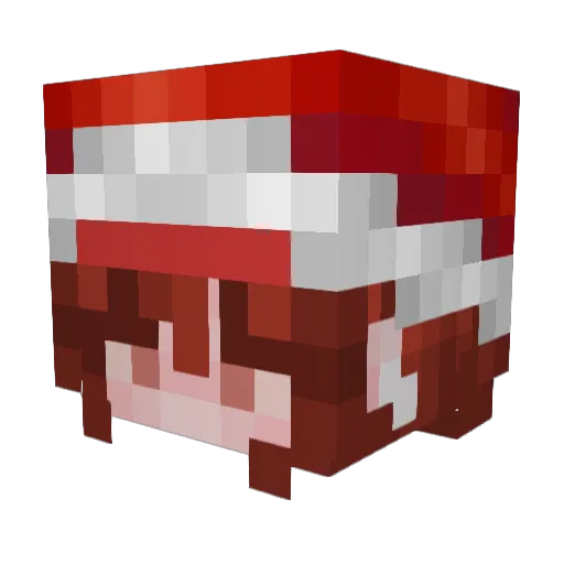 ChiliWilly25 Minecraft avatar head, 3D render