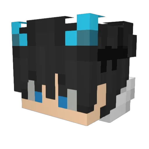 ChiliwiliTop Minecraft avatar head, 3D render