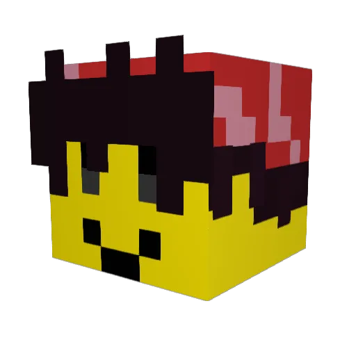 Chill_Bean Minecraft avatar head, 3D render