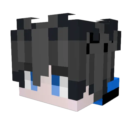 Chill_Dawg Minecraft avatar head, 3D render
