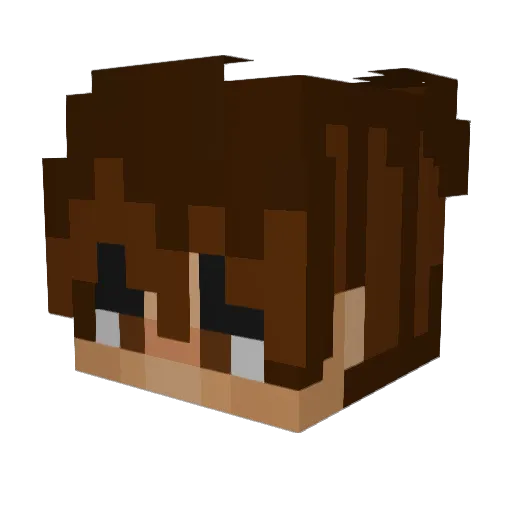 Chillax22 Minecraft avatar head, 3D render