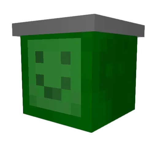 Chillestduck Minecraft avatar head, 3D render