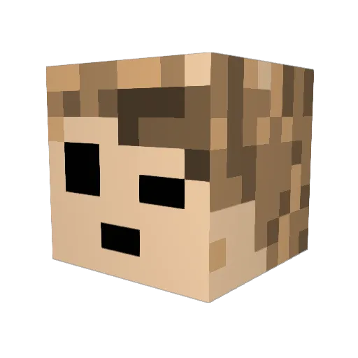 Chillfreezer Minecraft avatar head, 3D render